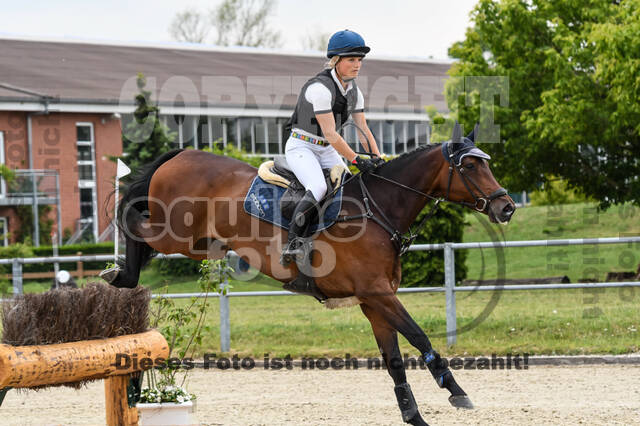 Late-Entry-Vielseitigkeit Langenfeld (11.+13./14.06.2020)