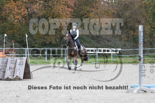 IGV Lehrgang der Sieger der Cups mit Frank Ostholt