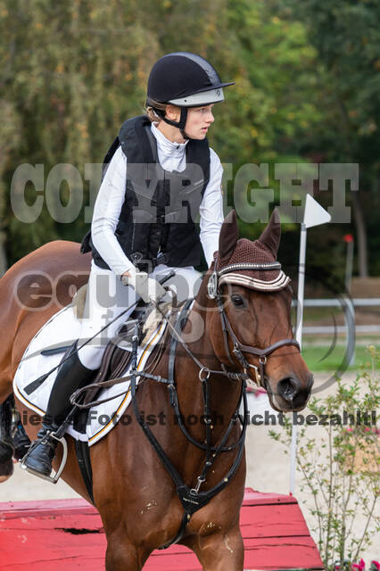 Goldene Schärpe 2020 - Pferde