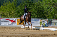 Westerstede Horse Trials 2021