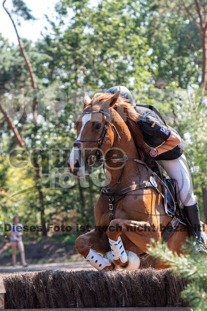 De Peelbergen (August 2020)