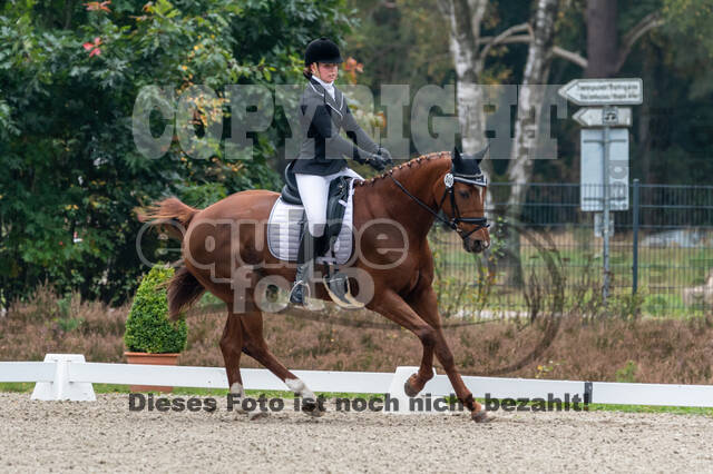 Deutsche Meisterschaft Vielseitigkeit (Luhmühlen)