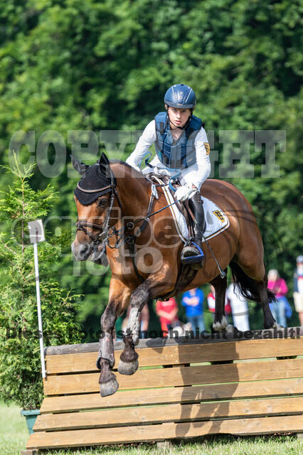 Goldene Schärpe 2021 - Ponys
