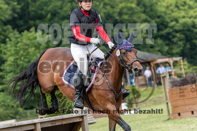 Goldene Schärpe 2021 - Ponys