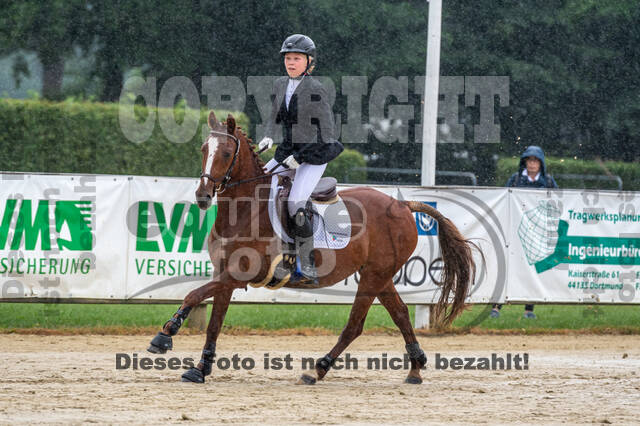 Goldene Schärpe 2021 - Ponys