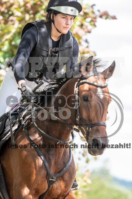 Bonn-Rodderberg Late-Entry-Vielseitigkeit (30.06.2020)