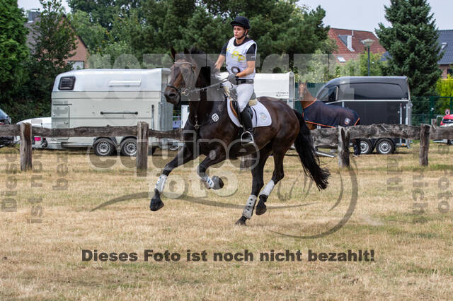 Late-Entry Vielseitigkeit Hamminkeln/Wesel (01.+02.08.2020)