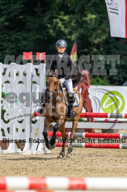 Goldene Schärpe 2021 - Ponys
