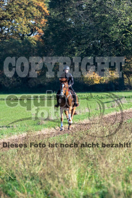 Vielseitigkeitslehrgang mit Jürg Kurbel (9.+10.11.2019)