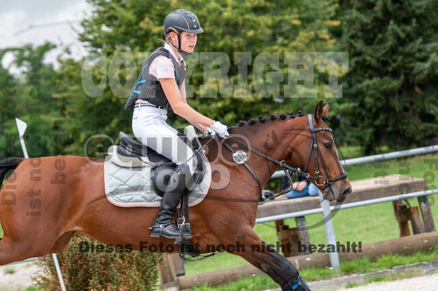 Late-Entry-Vielseitigkeit Langenfeld (06.+07.07.2020)