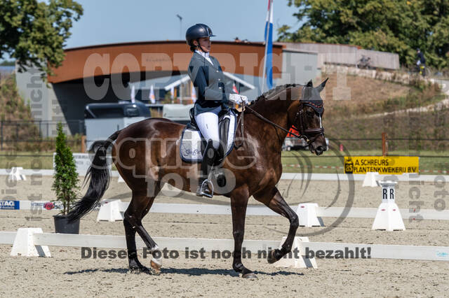 Kronenberg - De Peelbergen (August 2020)