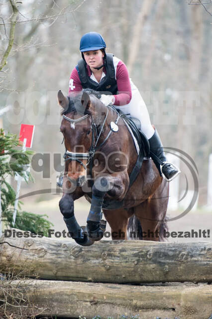 Jungpferdetag Hamminkeln
