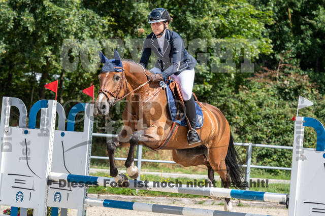 Late-Entry-Vielseitigkeit Langenfeld (06.+07.07.2020)