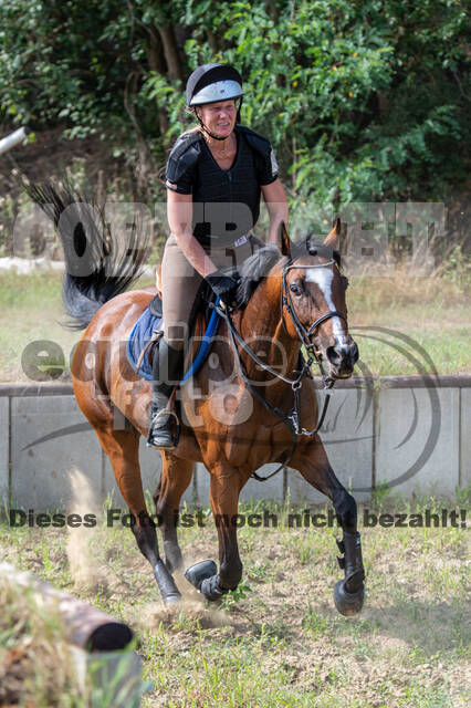 Hunter Geländetraining (16.08.2020)