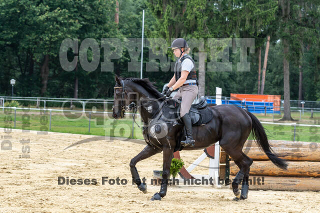 Hunter Geländetraining 10.07.2021 (Sonsbeck)
