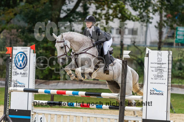 Vielseitigkeit RSV Wesel Obrighoven (26.+27.09.2020)