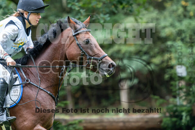 Vielseitigkeit RSV Wesel Obrighoven (26.+27.09.2020)