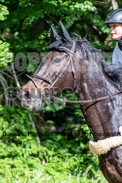 Westerstede Horse Trials 2021