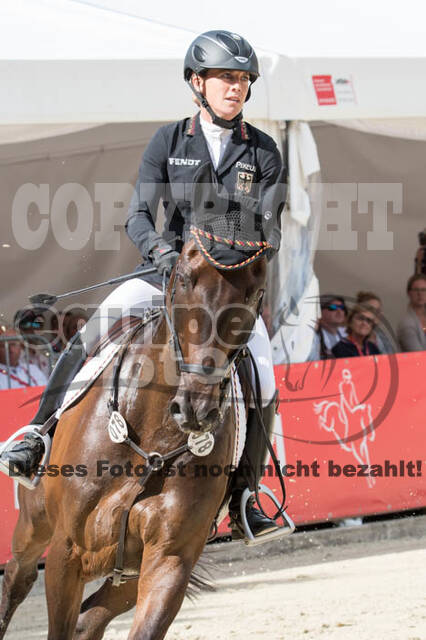 FEI European Championship Eventing 2017