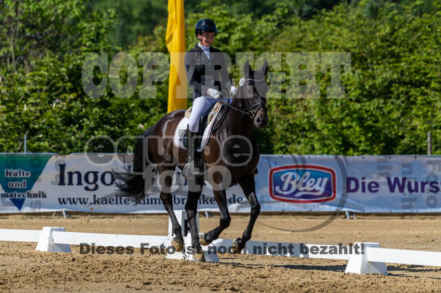 Westerstede Horse Trials 2021