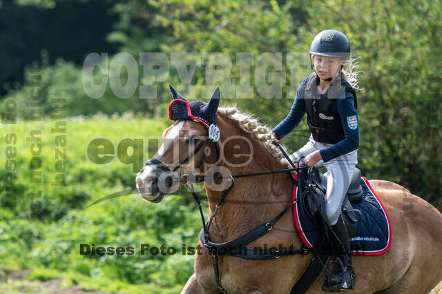 Goldene Schärpe 2021 - Ponys