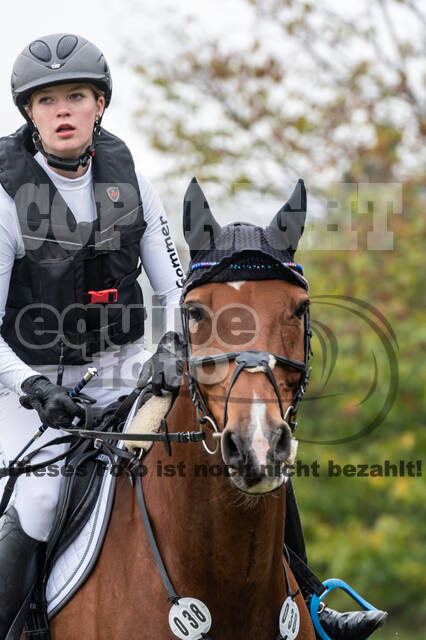 Goldene Schärpe 2020 - Pferde