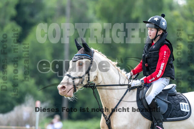 Goldene Schärpe 2021 - Ponys