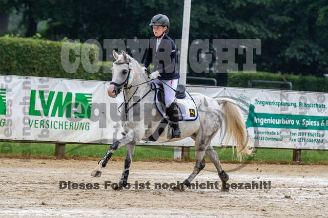 Goldene Schärpe 2021 - Ponys