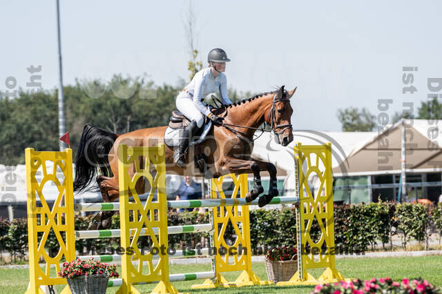 Kronenberg - De Peelbergen (August 2020)