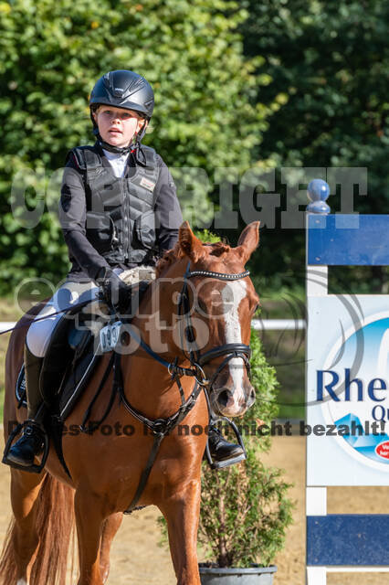 RFV Dinslaken-Hiesfeld (Herbstturnier)