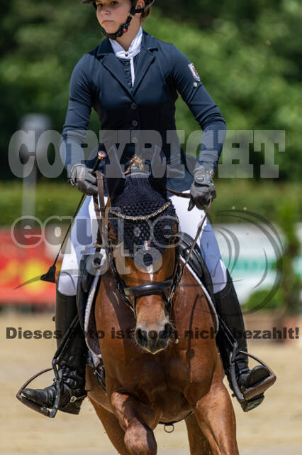 Goldene Schärpe 2021 - Ponys