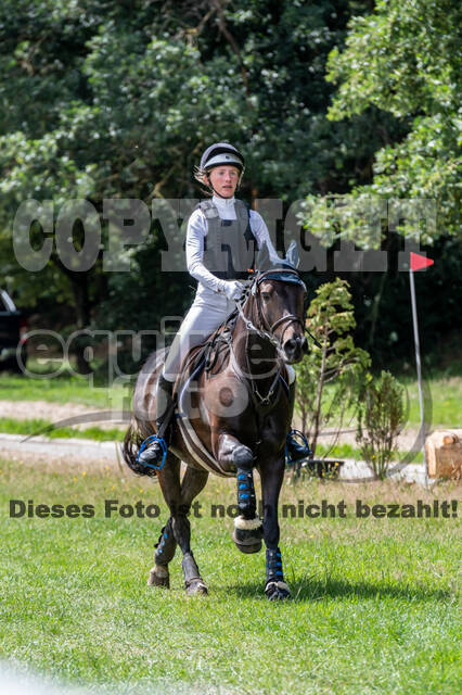 Late-Entry-Vielseitigkeit Langenfeld (06.+07.07.2020)