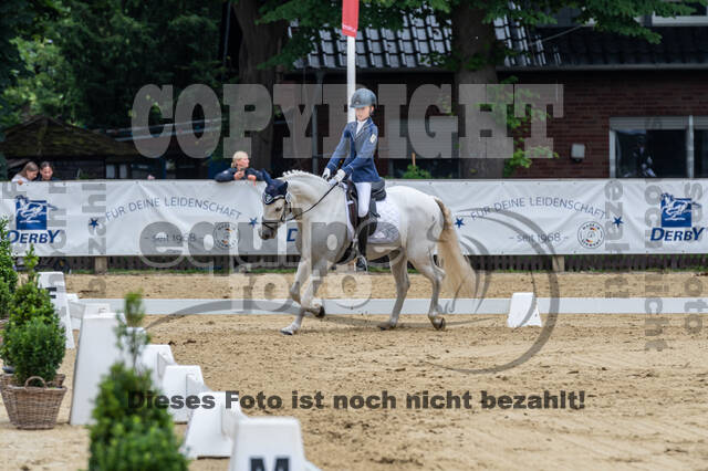 Goldene Schärpe 2021 - Ponys