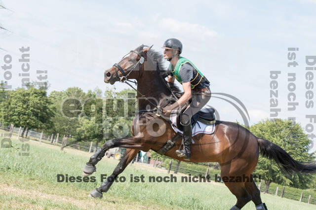 Vielseitigkeitsturnier ZRuFV von Lützow Hamminkeln
