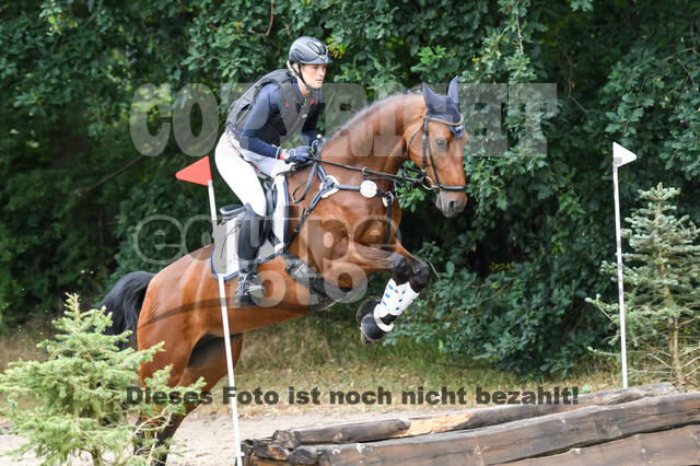 Late-Entry-Vielseitigkeit Langenfeld (11.+13./14.06.2020)