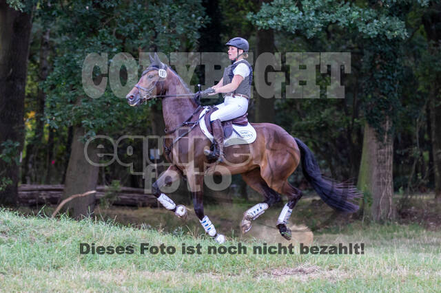 Late-Entry Vielseitigkeit Hamminkeln/Wesel (01.+02.08.2020)