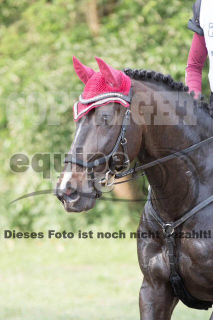 Vielseitigkeitsturnier ZRFV von Lützow Hamminkeln