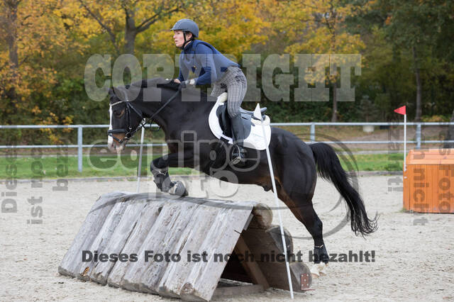 IGV Lehrgang der Sieger der Cups mit Frank Ostholt