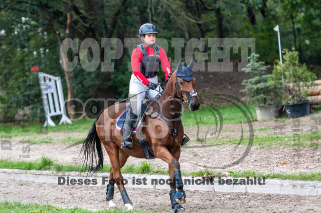 Goldene Schärpe 2020 - Pferde