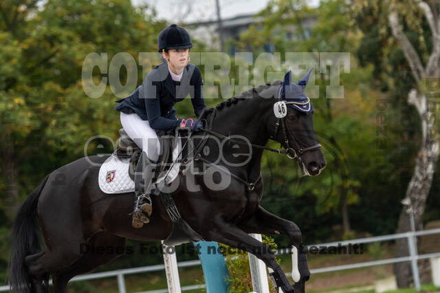 Reiter Schleswig-Holstein