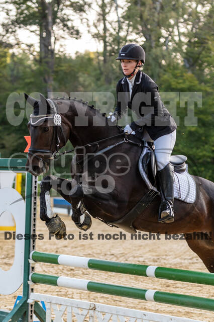 RFV Dinslaken-Hiesfeld (Herbstturnier)