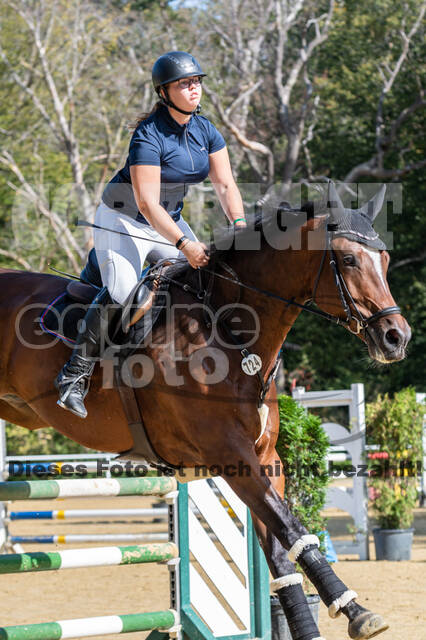 RFV Dinslaken-Hiesfeld (Herbstturnier)