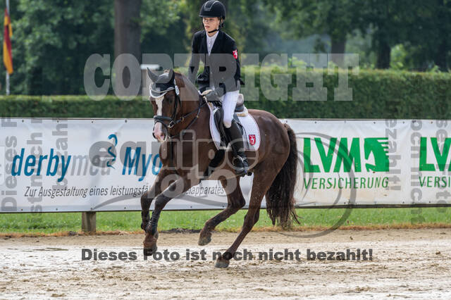 Goldene Schärpe 2021 - Ponys