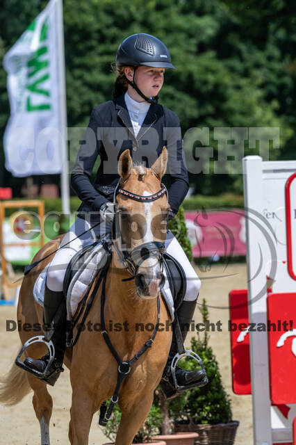 Goldene Schärpe 2021 - Ponys