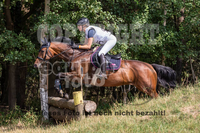 Late-Entry Vielseitigkeit Hamminkeln/Wesel (01.+02.08.2020)