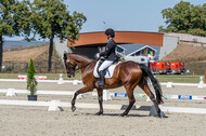 Kronenberg - De Peelbergen (August 2020)
