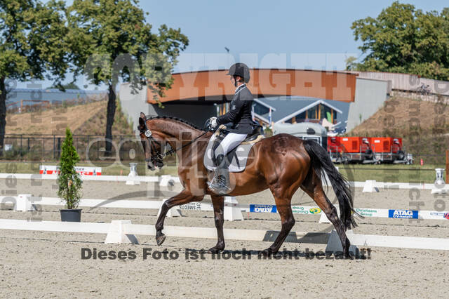Kronenberg - De Peelbergen (August 2020)