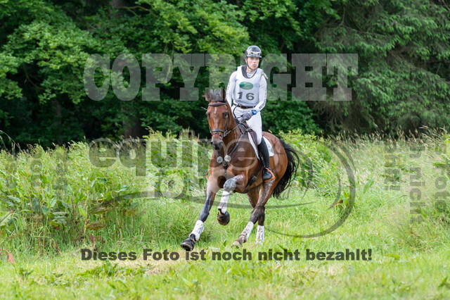Westerstede Horse Trials 2021
