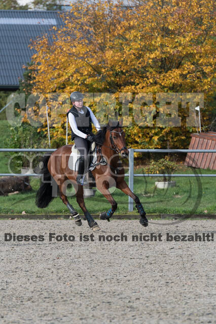 IGV Lehrgang der Sieger der Cups mit Frank Ostholt