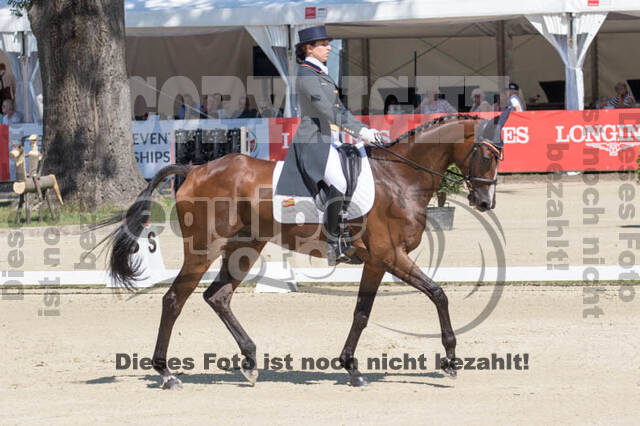 FEI European Championship Eventing 2017